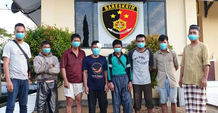 Polres Konsel Tangkap Enam Orang Pencuri Sapi