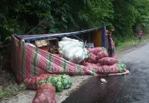 Truk Pengangkut 7 Ton Sayur Terguling di Kolaka Utara Truk Pengangkut 7 Ton Sayur Terguling di Kolaka Utara
