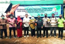 Butur Ekspor Perdana 11 Ton Kopra Putih ke China Butur Ekspor Perdana 11 Ton Kopra Putih ke China