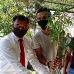 Polisi Tangkap Pemilik Pohon Ganja di Kendari