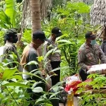 Cerita Warga di Busel, Mengisolasi Diri di Kebun Usai Ikut Pemakaman ODP Corona Cerita Warga di Busel, Mengisolasi Diri di Kebun Usai Ikut Pemakaman ODP Corona