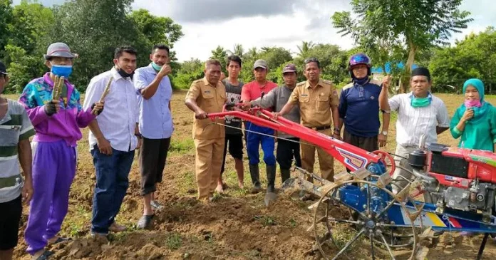 Pemerintah Kecamatan di Mubar Tanam Singkong untuk Stok Pangan di Tengah Pandemi