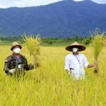 Bupati Konut Imbau Masyarakat Tidak Mudik Bupati Konut Imbau Masyarakat Tidak Mudik