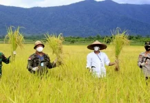 Bupati Konut Imbau Masyarakat Tidak Mudik Bupati Konut Imbau Masyarakat Tidak Mudik