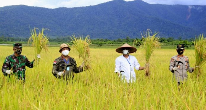 Bupati Konut Imbau Masyarakat Tidak Mudik