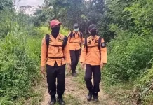 Kakek 100 Tahun yang Hilang di Hutan belum Ditemukan Kakek 100 Tahun yang Hilang di Hutan belum Ditemukan