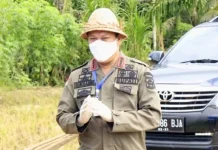 Konut Catat Satu Kasus OTG, Bupati: Ini akibat Ketidakpatuhan Bupati Konut Ruksamin