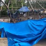 Cegah Penyebaran Covid-19, Polres Kendari Bongkar Lokasi Judi Sabung Ayam di Kendari Cegah Penyebaran Covid-19, Polres Kendari Bongkar Lokasi Judi Sabung Ayam di Kendari