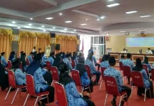 137 CPNS Kolaka Kantongi SK 100 Persen 137 CPNS Kolaka Kantongi SK 100 Persen