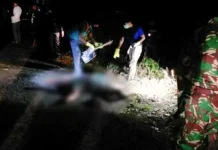 Seorang Anggota TNI di Baubau Ditemukan Tewas, Pelaku dalam Pengejaran Seorang Anggota TNI di Baubau Ditemukan Tewas, Pelaku dalam Pengejaran