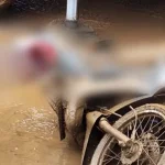 Dua Pekerja Tambang di Morosi Tewas Terlindas Truk Crane Dua Pekerja Tambang di Morosi Tewas Terlindas Truk Crane