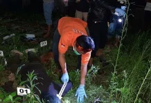 Petani di Atari Jaya Konsel Ditemukan Tewas Bersama Seekor Monyet Petani di Atari Jaya Konsel Ditemukan Tewas Bersama Seekor Monyet