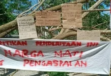 Dua Pekan, Blokade Jalan di Muna Terjadi di Empat Titik Mediasi Tak Berhasil, Blokade Jalan di Muna Berlanjut