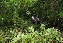 Mobil Dinas Camat Pasarwajo Jatuh ke Jurang Mobil Dinas Camat Pasarwajo Jatuh ke Jurang