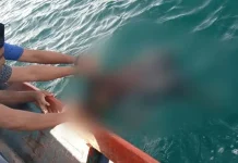 Sehari Hilang, Seorang Nelayan Ditemukan Mengambang di Perairan Muna Sehari Hilang, Seorang Nelayan Ditemukan Mengambang di Perairan Muna