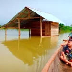 Padi Petani di Konut Diterjang Banjir, Kerugian Capai Ratusan Juta Padi Petani di Konut Diterjang Banjir, Kerugian Capai Ratusan Juta