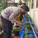 Kapolres Konut Olah Lahan Kosong Jadi Lokasi Budidaya Ikan dan Sayur Kapolres Konut Olah Lahan Kosong Jadi Lokasi Budidaya Ikan dan Sayur