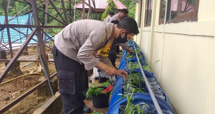 Kapolres Konut Olah Lahan Kosong Jadi Lokasi Budidaya Ikan dan Sayur