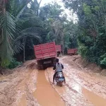 Pertamina Pastikan Kebutuhan LPG di Kendari dan Sekitarnya Tetap Terpenuhi Pertamina Pastikan Kebutuhan LPG di Kendari dan Sekitarnya Tetap Terpenuhi