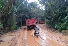 Pertamina Pastikan Kebutuhan LPG di Kendari dan Sekitarnya Tetap Terpenuhi Pertamina Pastikan Kebutuhan LPG di Kendari dan Sekitarnya Tetap Terpenuhi