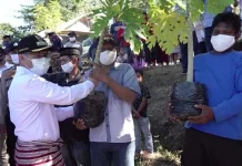 Sulkarnain Tanam Tumbuhan Produktif di Puncak Punggaloba Sulkarnain Tanam Tumbuhan Produktif di Puncak Punggaloba