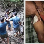 Seorang Pelajar SMP di Bombana Tewas Dipatok Ular Piton Seorang Pelajar SMP di Bombana Tewas Dipatok Ular Piton