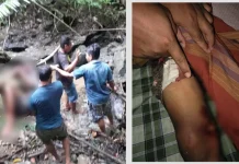 Seorang Pelajar SMP di Bombana Tewas Dipatok Ular Piton Seorang Pelajar SMP di Bombana Tewas Dipatok Ular Piton