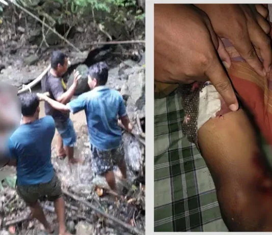 Seorang Pelajar SMP di Bombana Tewas Dipatok Ular Piton Seorang Pelajar SMP di Bombana Tewas Dipatok Ular Piton