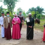 Pemkab Konsel Kurban 14 Ekor Sapi di Hari Raya Iduladha 1441 Hijriah Pemkab Konsel Kurban 14 Ekor Sapi di Hari Raya Iduladha 1441 Hijriah