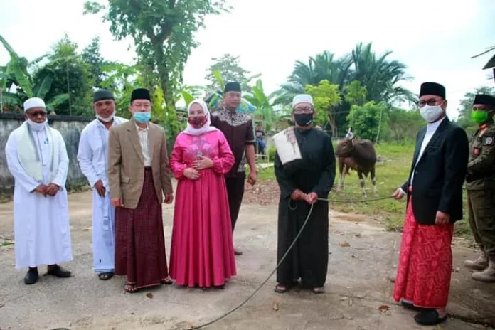 Pemkab Konsel Kurban 14 Ekor Sapi di Hari Raya Iduladha 1441 Hijriah