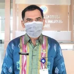 New Normal, Aktivitas Bandara Haluoleo Mulai Padat Kepala Bandara Haluoleo Safruddin