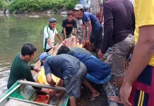 Diduga Penyakit Asma Kambuh, Nelayan di Konsel Ditemukan Meninggal Saat Memancing Diduga Penyakit Asma Kambuh, Nelayan di Konsel Ditemukan Meninggal Saat Memancing