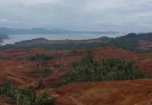 Oknum Polisi Diduga Bekingi Penambangan Ilegal di Blok Matarape Oknum Polisi Diduga Bekingi Penambangan Ilegal di Blok Matarape