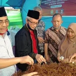 Bibit Kultur Jaringan Rumput Laut Dikembangkan di Butur Bibit Kultur Jaringan Rumput Laut Dikembangkan di Butur