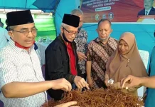 Bibit Kultur Jaringan Rumput Laut Dikembangkan di Butur Bibit Kultur Jaringan Rumput Laut Dikembangkan di Butur
