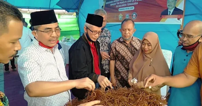 Bibit Kultur Jaringan Rumput Laut Dikembangkan di Butur