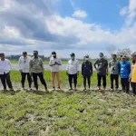 Kementan Siapkan Konsel Jadi Sentra Baru Jagung di Sultra Kementan Siapkan Konsel Jadi Sentra Baru Jagung di Sultra