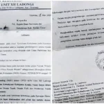 Dispar Koltim Diduga Serobot Kawasan Hutan Pinus Secara Ilegal Dispar Koltim Diduga Serobot Kawasan Hutan Pinus Secara Ilegal