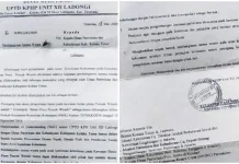 Dispar Koltim Diduga Serobot Kawasan Hutan Pinus Secara Ilegal Dispar Koltim Diduga Serobot Kawasan Hutan Pinus Secara Ilegal