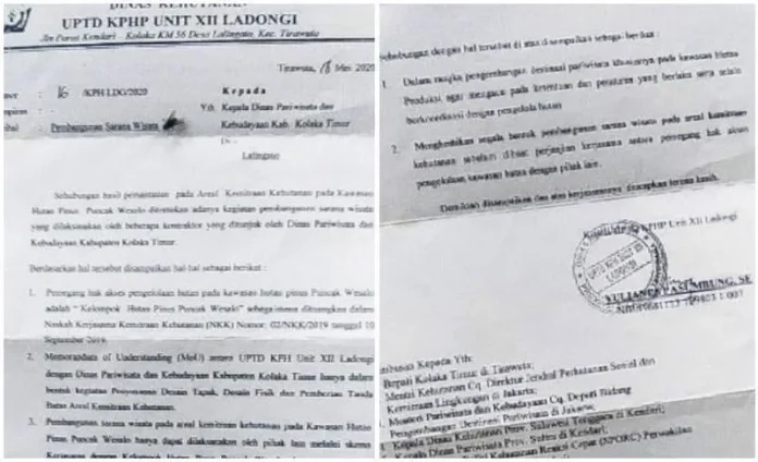 Dispar Koltim Diduga Serobot Kawasan Hutan Pinus Secara Ilegal