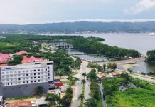 DPRD Minta Bangunan di Kawasan Mangrove Digusur DPRD Minta Bangunan di Kawasan Mangrove Digusur