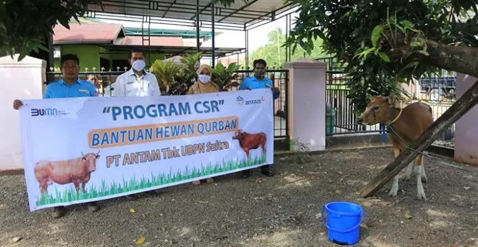 Antam Sebar 12 Ekor Sapi Kurban di Kolaka dan Konut