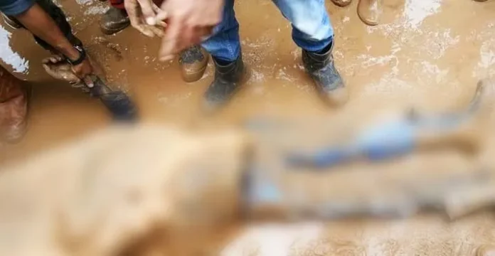 Seorang TKA China di PT VDNI Lindas Warga Konawe Hingga Tewas