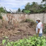 Dua Ekor Sapi Kurban Dijarah Maling di Kendari, Tersisa Hanya Usus Dua Ekor Sapi Kurban Dijarah Maling di Kendari, Tersisa Hanya Usus