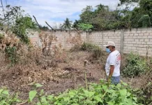 Dua Ekor Sapi Kurban Dijarah Maling di Kendari, Tersisa Hanya Usus Dua Ekor Sapi Kurban Dijarah Maling di Kendari, Tersisa Hanya Usus
