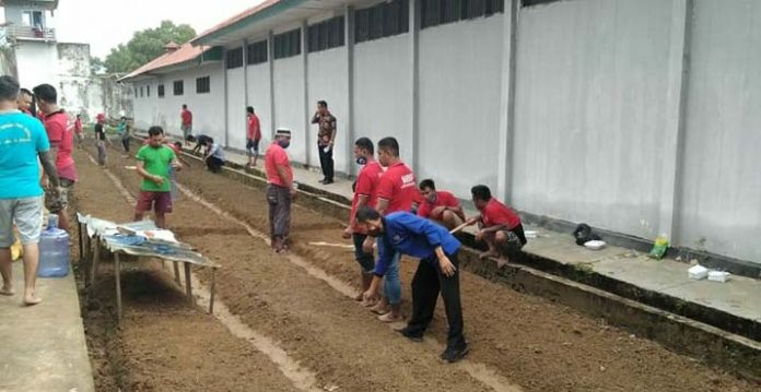 Tahanan Lapas Kendari Dilatih Bercocok Tanam