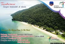 Sungai Tamborasi Masuk Nominasi API 2020, Kategori Destinasi Unik Sungai Tamborasi Masuk Nominasi API 2020, Kategori Destinasi Unik