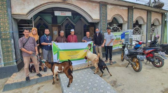 FIF Group Tebar 537 Kurban Kambing dan Dua Sapi