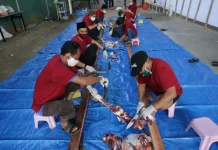 Sultra Kebagian 7 Hewan Kurban dari Pertamina Sultra Kebagian 7 Hewan Kurban dari Pertamina