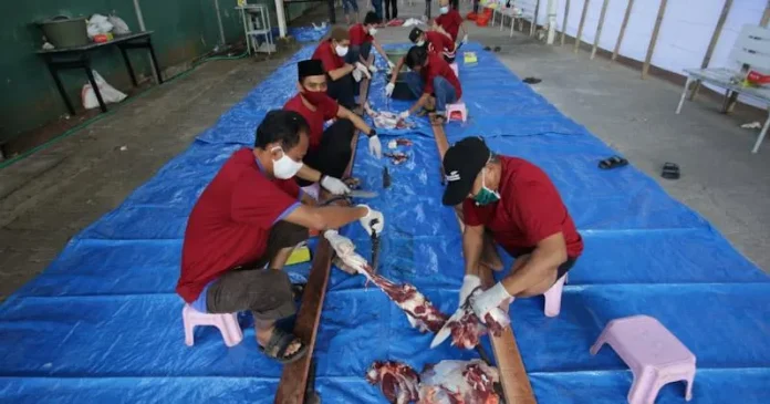 Sultra Kebagian 7 Hewan Kurban dari Pertamina